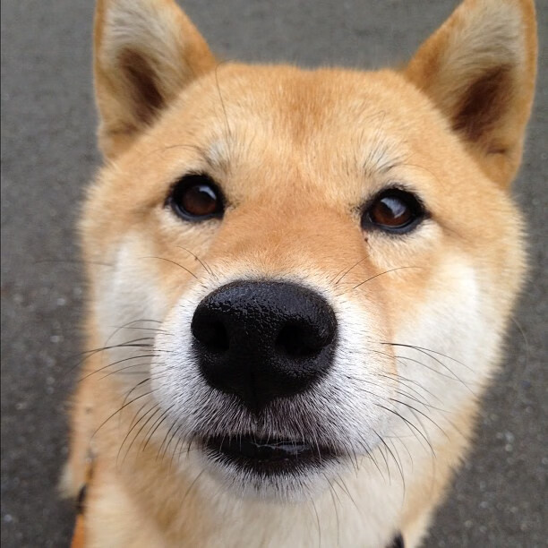 kaiyun登录入口-俱乐部成长故事：从基层青训到世界舞台，俱乐部打造