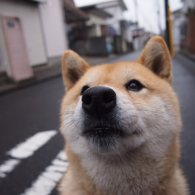 kaiyun-职业球队心理辅导机制为何薄弱