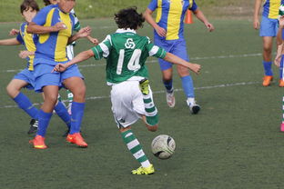 开云网站-中国足球国家队备战友谊赛调整战术策略，国足 友谊赛